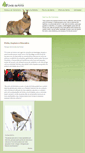 Mobile Screenshot of covaodaponte.com